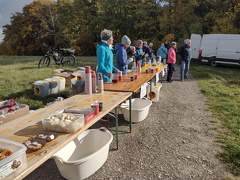 IMG 20251018 112817524 HDR